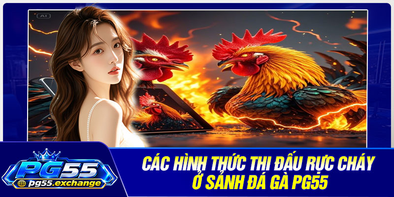 Các hình thức thi đấu rực cháy ở sảnh đá gà PG55