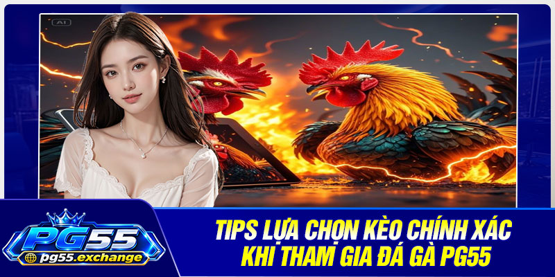 Tips lựa chọn kèo chính xác khi tham gia đá gà PG55